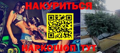 индика Новозыбков