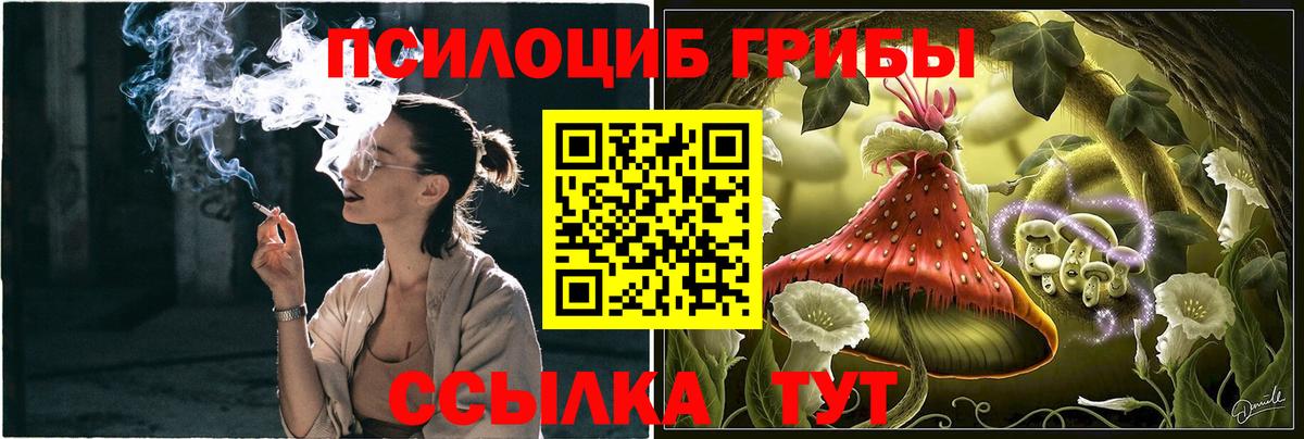 Псилоцибиновые грибы Psilocybine cubensis  Вход с VPN  Зерноград 