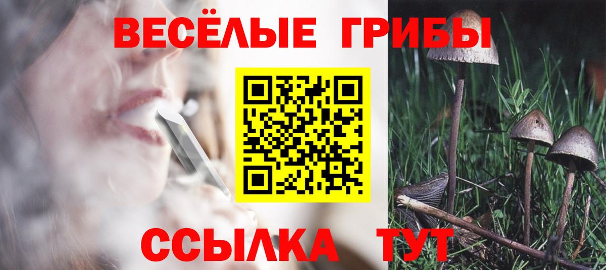 Псилоцибиновые грибы мухоморы Зерноград